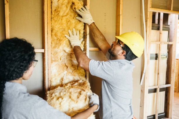 Professional Insulation in Marlin, TX